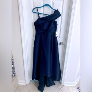 Adrianna Papell Gown